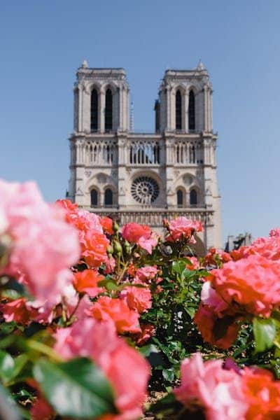 Katedrála Notre Dame v Paríži