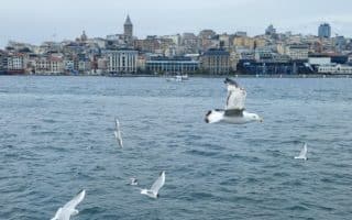online pexeso Istanbul a jeho pamiatky vzhlad na Sultanahmed z lode