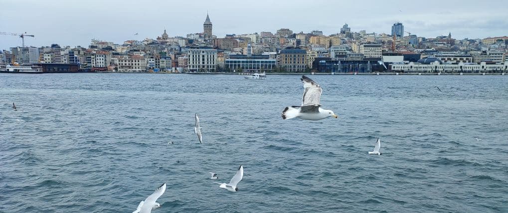 online pexeso Istanbul a jeho pamiatky vzhlad na Sultanahmed z lode